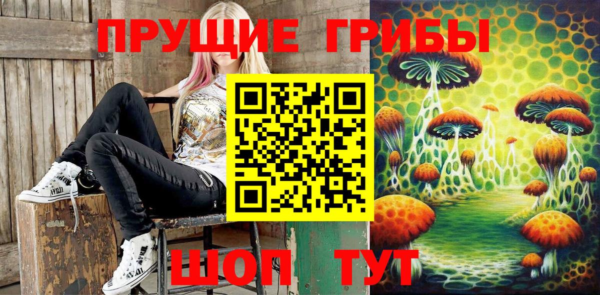 Галлюциногенные грибы мицелий  Вход с VPN  Чита 